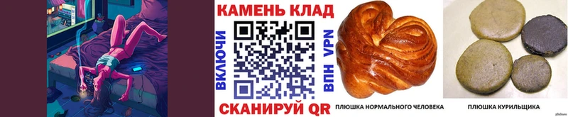Сколько стоит Пугачёв MEGA зеркало Гашиш ТГК Каннабис Кокаин