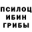 Псилоцибиновые грибы Magic Shrooms Niclas Kronn