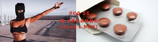 ПСИЛОЦИБИНОВЫЕ ГРИБЫ Балахна