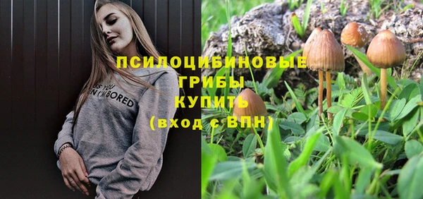 тгк Баксан