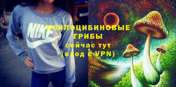 шишки Балабаново