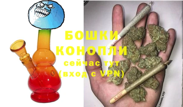 шишки Балабаново